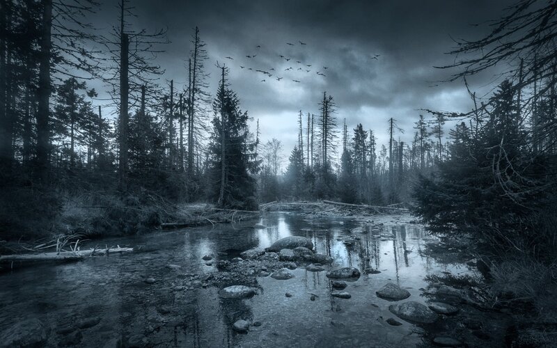 River in Forest — Blue, Dark