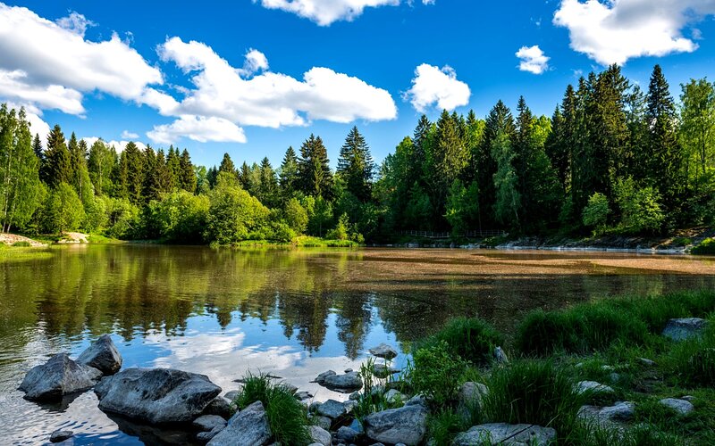 River in Forest — Blue, Serene, Afternoon, Photograph