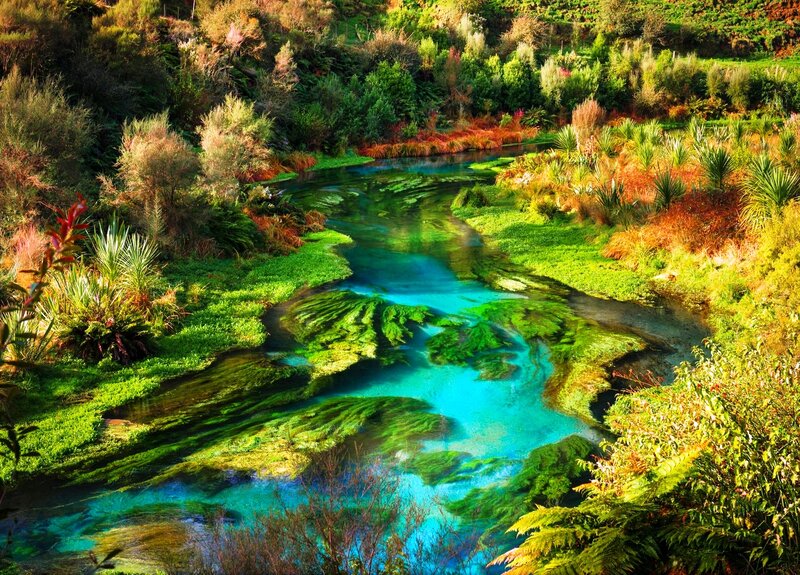 River in Forest — Blue, Serene, Afternoon, Photograph, Trees