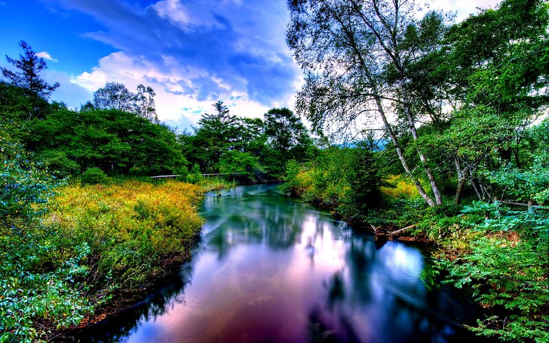 River in Forest — Blue, Serene, Afternoon