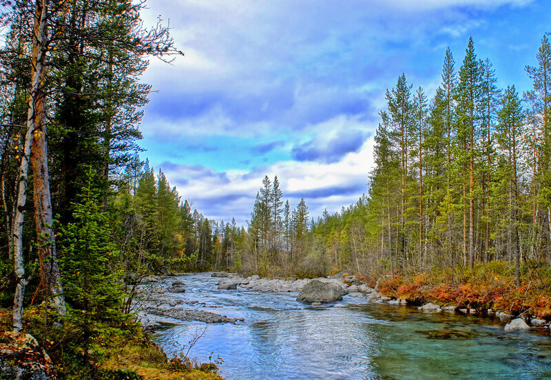 River in Forest — Blue, Serene, Autumn