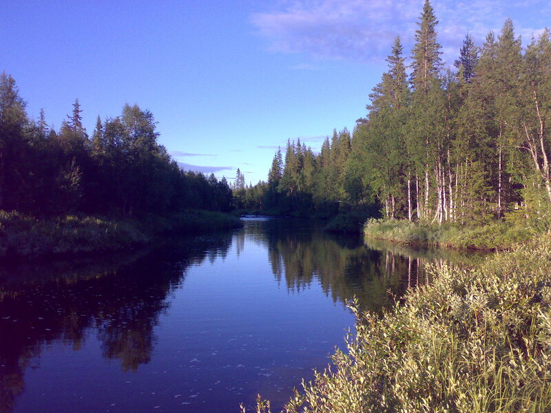 River in Forest — Blue, Serene