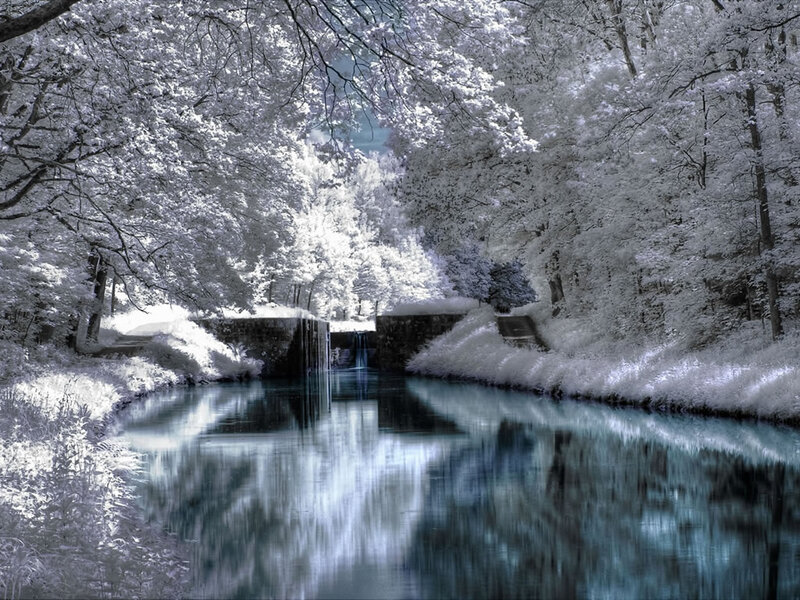 River in Forest — Blue, Serene, Winter