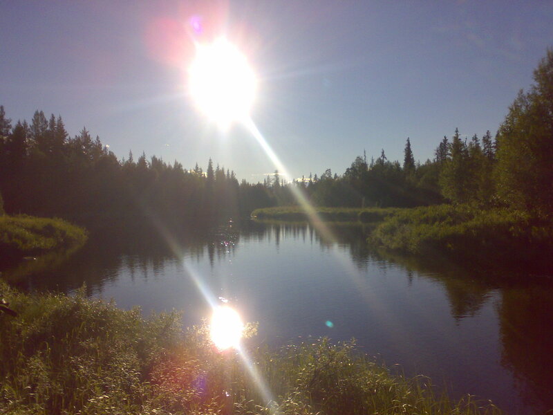 River in Forest — Blue