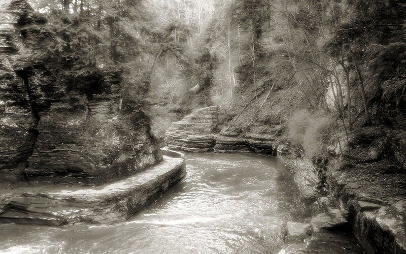River in Forest Canyon — Black, Serene