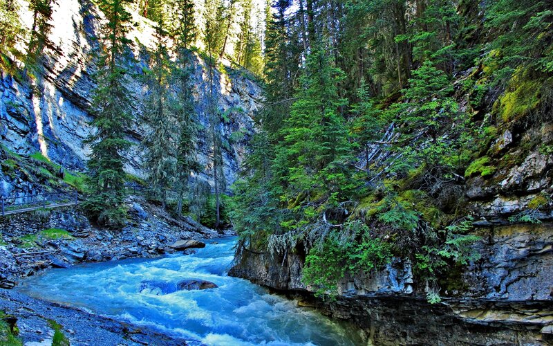River in Forest Canyon — Blue, Serene, Afternoon, Photograph, Trees, Rocks