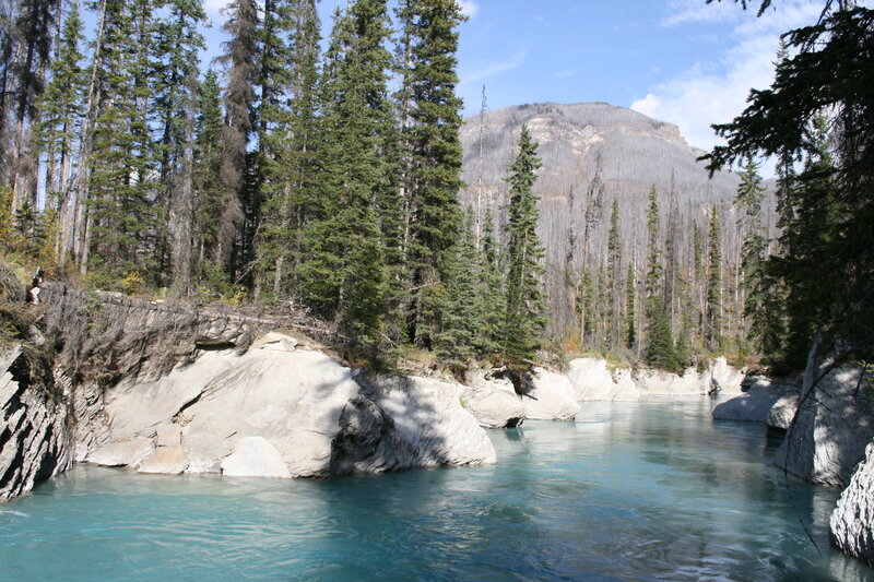River in Forest Canyon — Blue, Serene, Afternoon