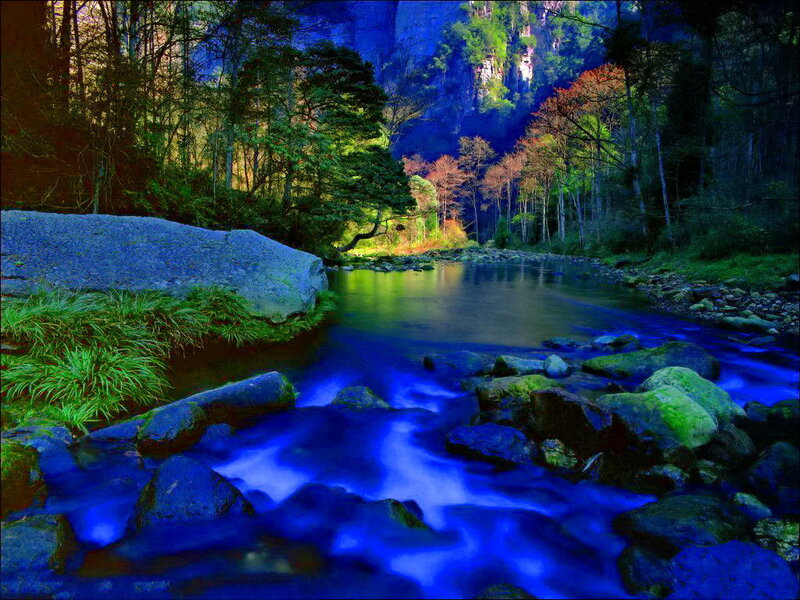 River in Forest Canyon — Blue, Serene, Night