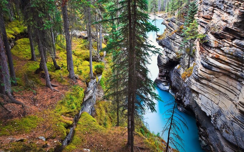 River in Forest Canyon — Blue, Serene, Photograph