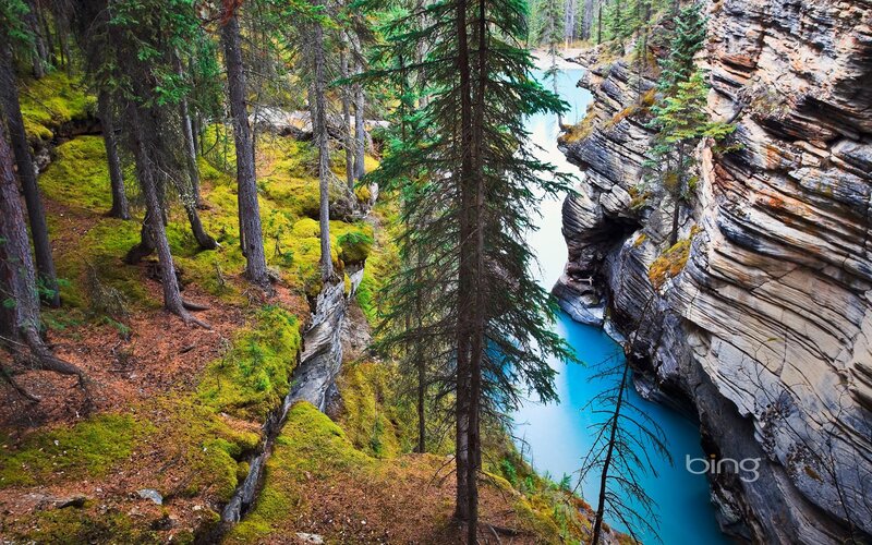 River in Forest Canyon — Blue, Serene