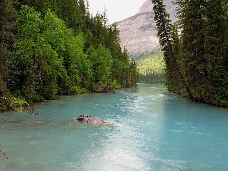 River in Forest Canyon — Blue