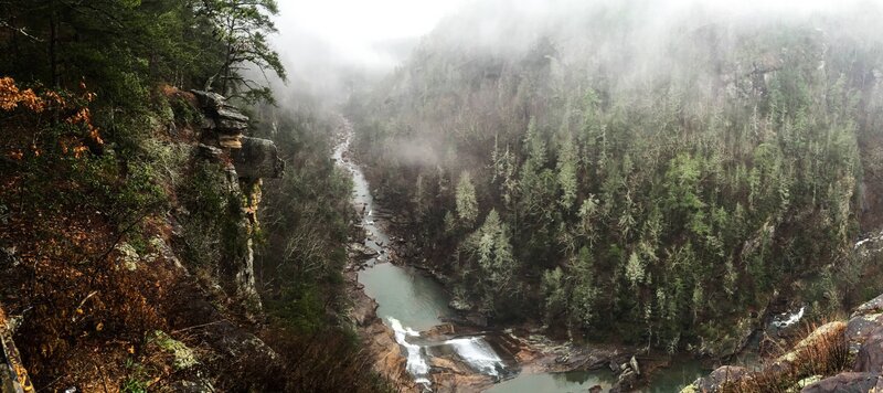 River in Forest Canyon — Green, Misty