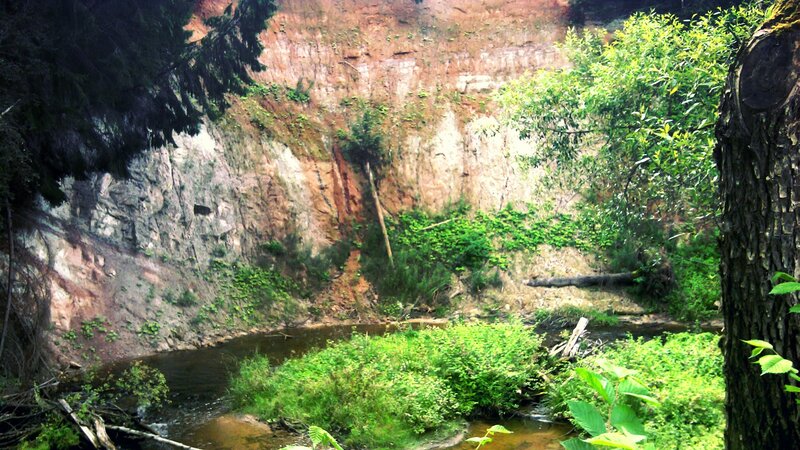 River in Forest Canyon — Green, Natural, Afternoon