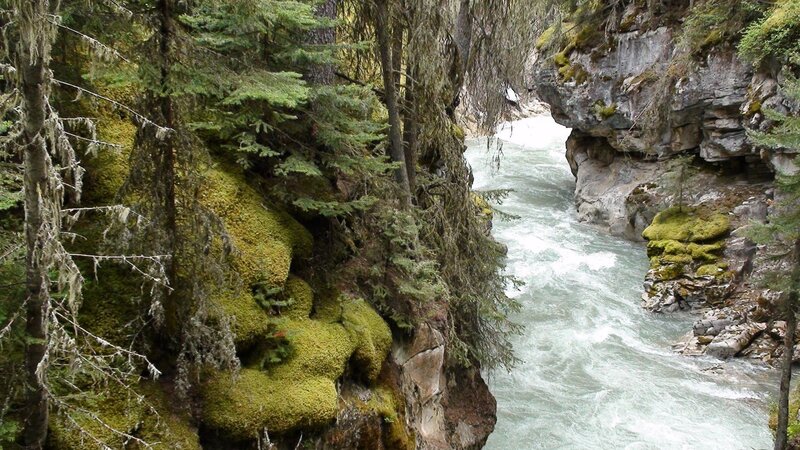River in Forest Canyon — Green, Natural, Photograph