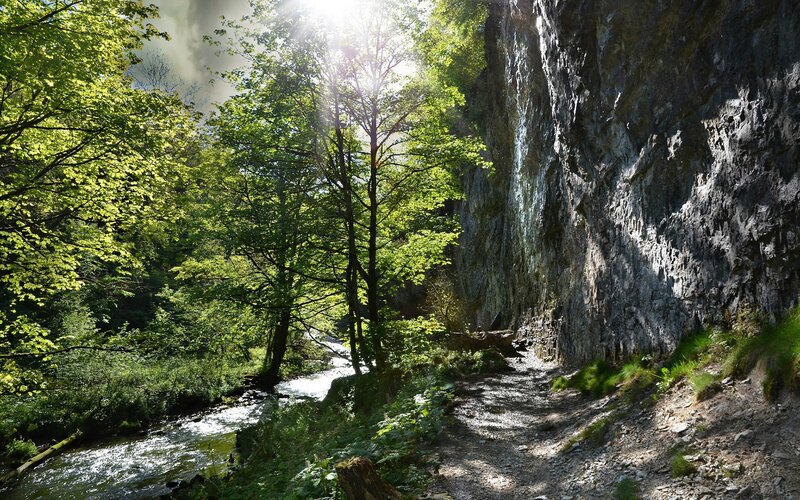River in Forest Canyon — Green, Serene, Afternoon, Photograph, Trees, Cliff