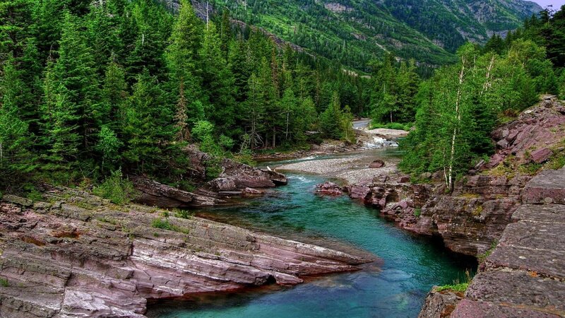 River in Forest Canyon — Green, Serene, Afternoon, Photograph, Trees, Rocks, Mountain
