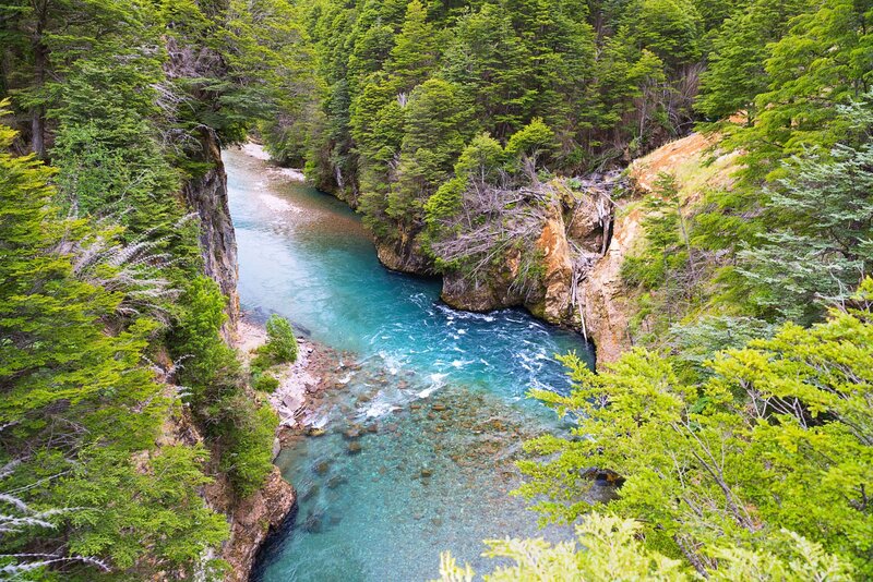 River in Forest Canyon — Green, Serene, Afternoon, Photograph, Trees, Rocks, Rapids