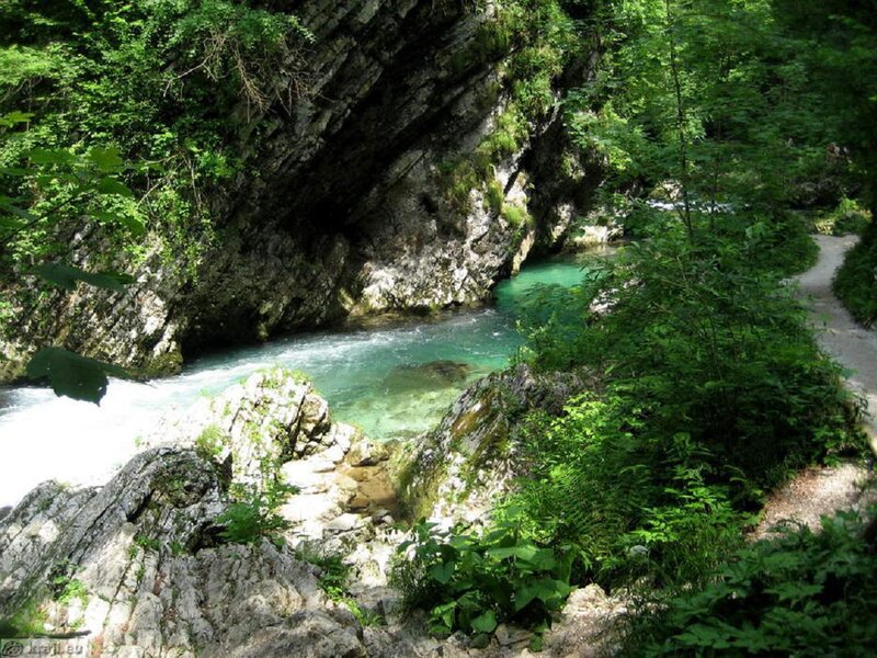 River in Forest Canyon — Green, Serene, Afternoon
