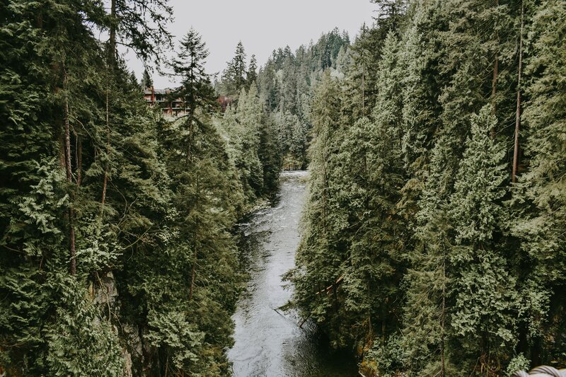 River in Forest Canyon — Green, Serene, Morning, Photograph, Trees, Building