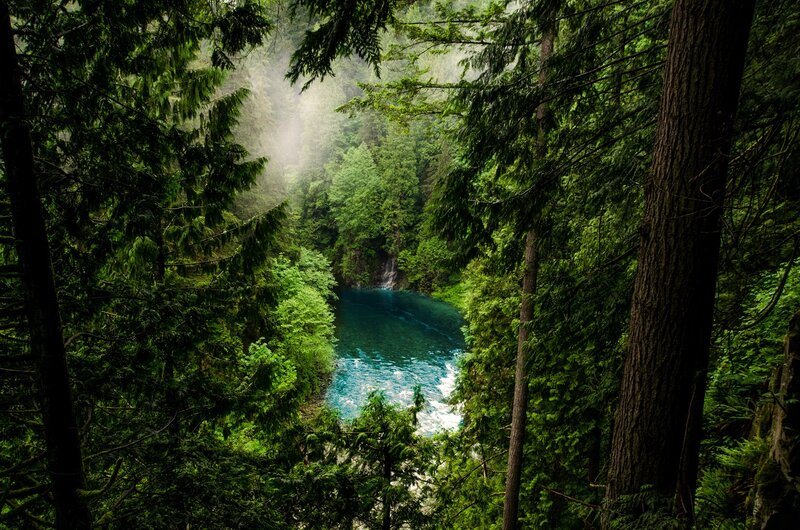 River in Forest Canyon — Green, Serene, Morning, Photograph, Trees, Mist