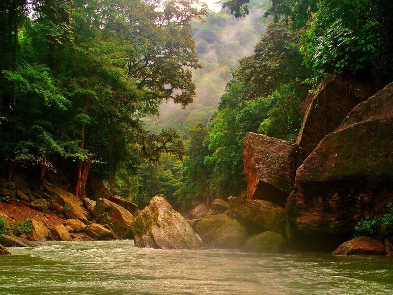 River in Forest Canyon — Green, Serene, Morning, Photograph, Trees, Rocks, Mist