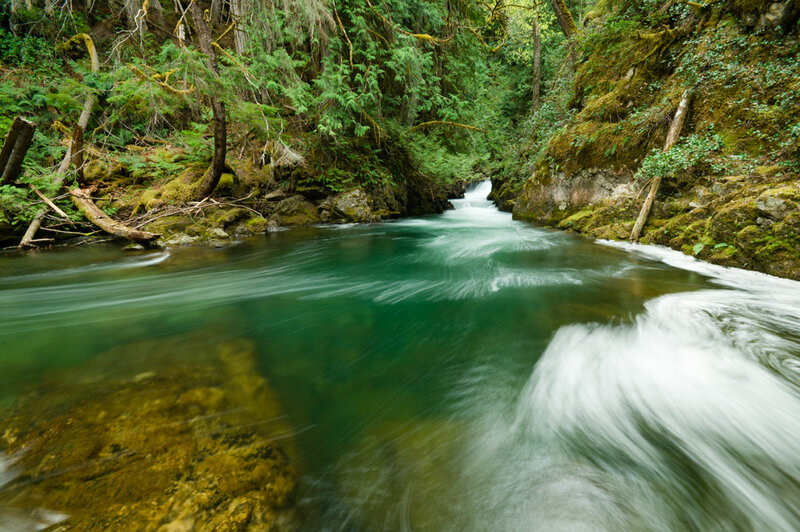 River in Forest Canyon — Green, Serene, Photograph