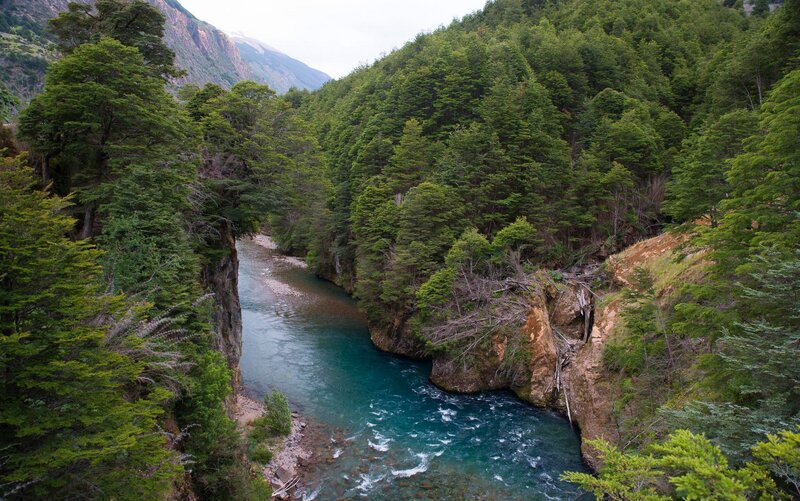 River in Forest Canyon — Green, Serene, Photograph, Trees