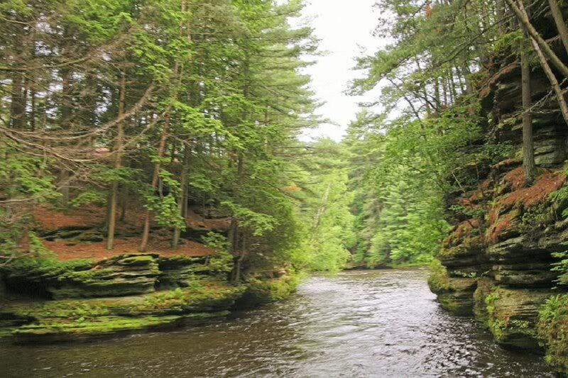 River in Forest Canyon — Green, Serene