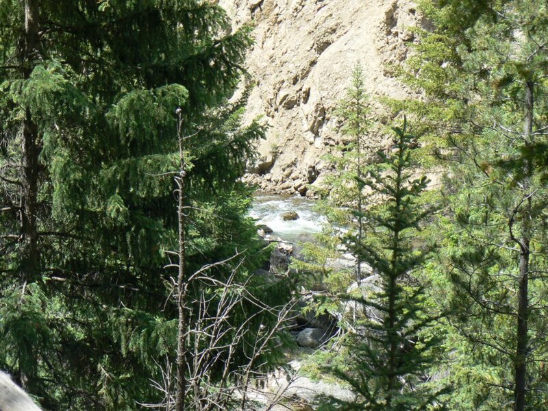 River in Forest Canyon — Green