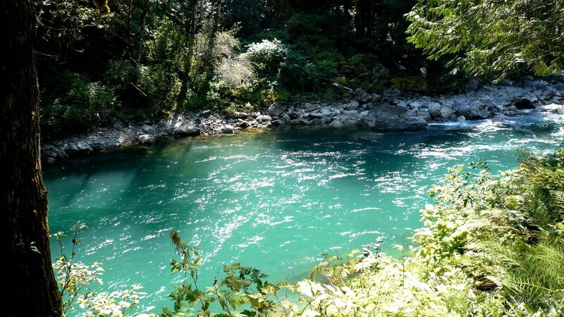 river in forest clearing