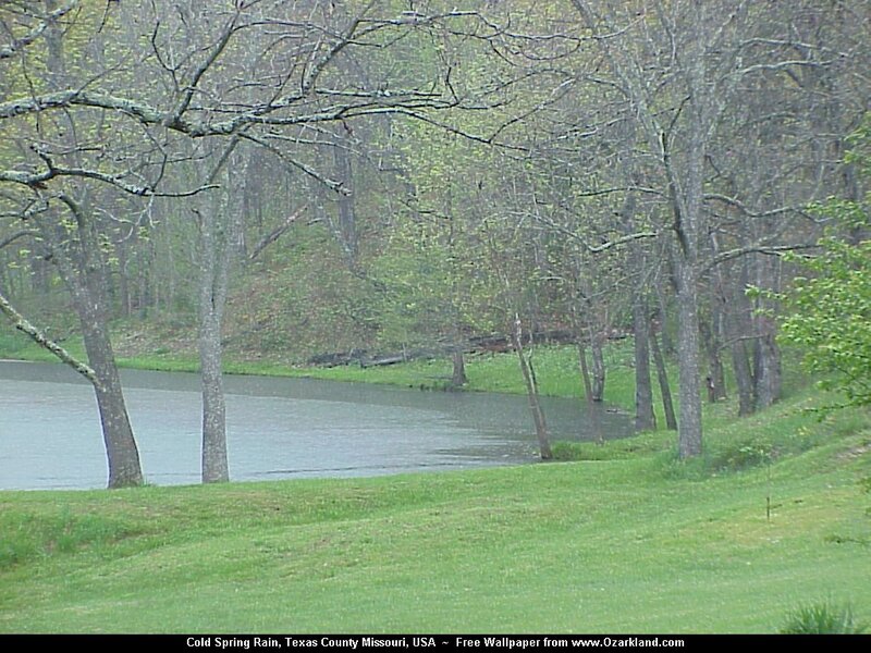 River in Forest — Green, Calm, Spring