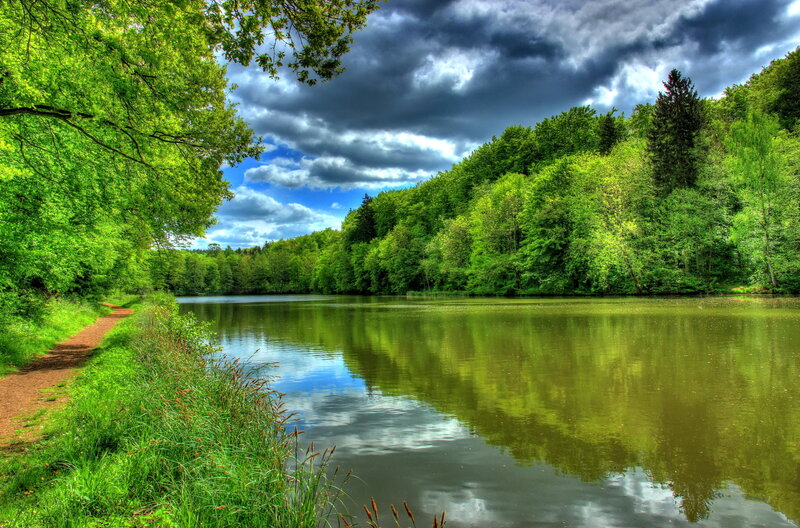 River in Forest — Green, Dramatic, Afternoon, Photograph, Trees, Path