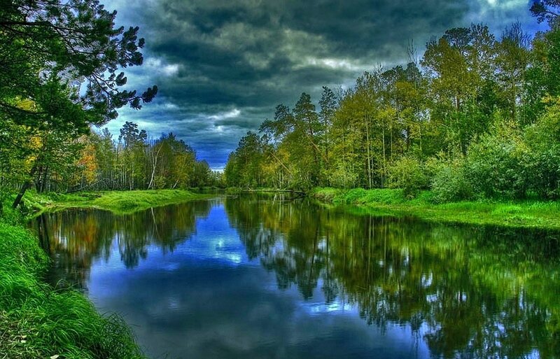 River in Forest — Green, Dramatic, Afternoon