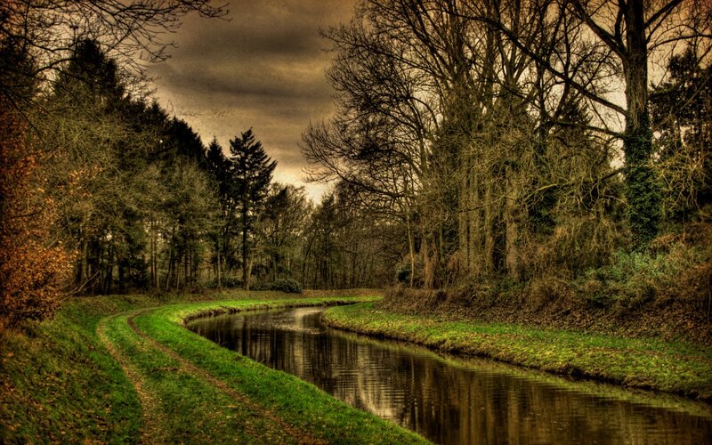 River in Forest — Green, Dramatic, Autumn, Photograph