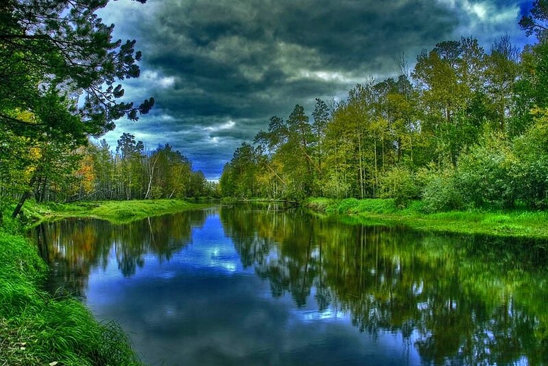 River in Forest — Green, Dramatic