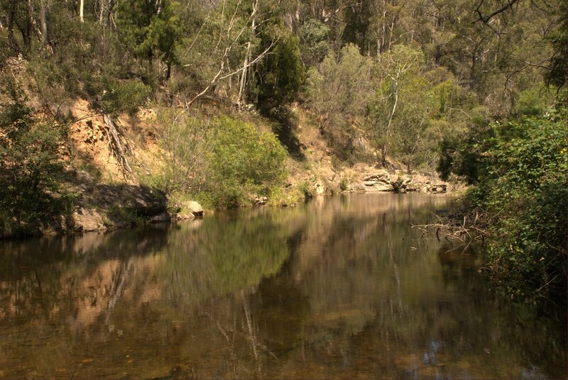 River in Forest — Green, Serene, Afternoon, Photograph, Trees, Bank