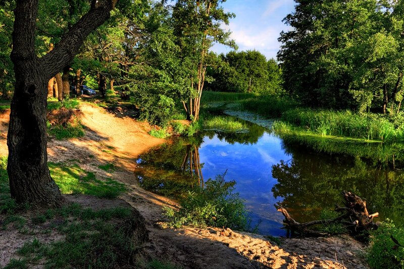 River in Forest — Green, Serene, Afternoon, Photograph, Trees, Car