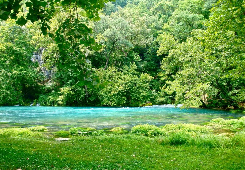 River in Forest — Green, Serene, Afternoon, Photograph, Trees, Grass, Rocks