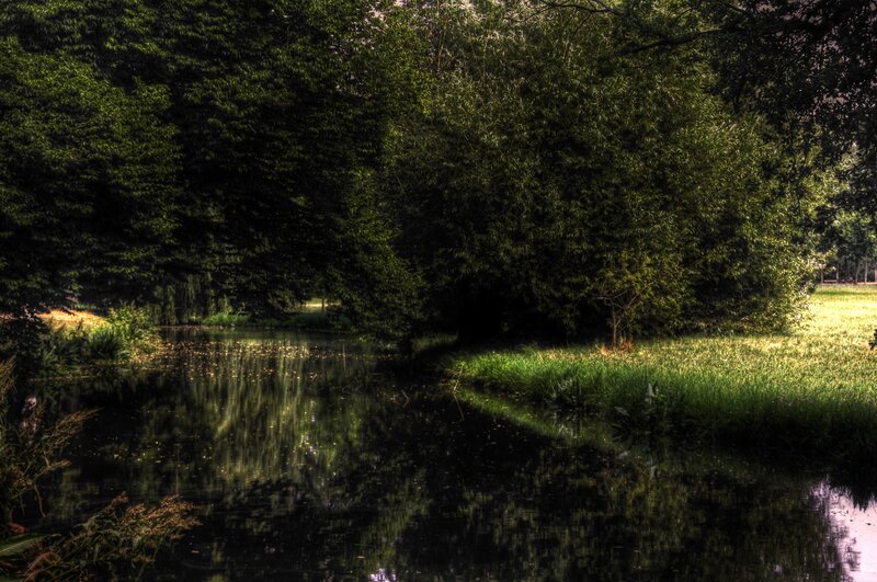 River in Forest — Green, Serene, Afternoon, Photograph, Trees, Grass, Water, Black