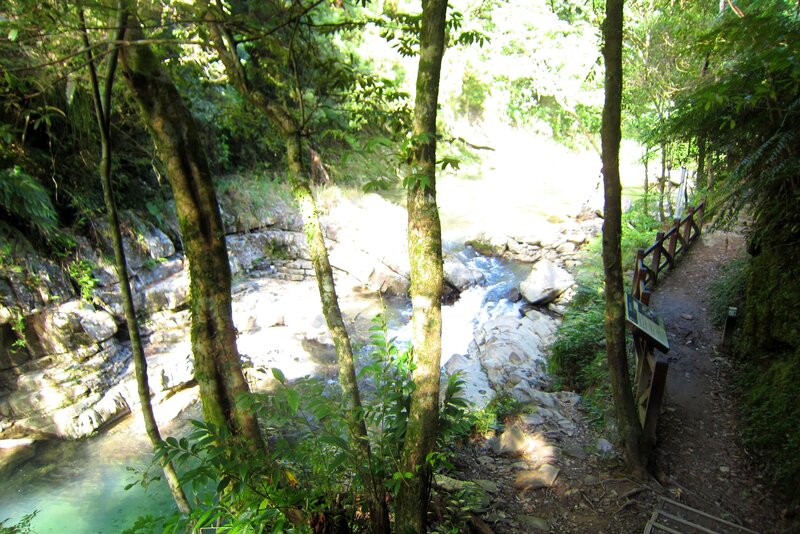 River in Forest — Green, Serene, Afternoon, Photograph, Trees, Path