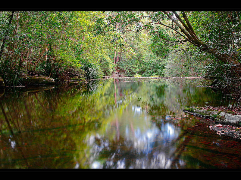 River in Forest — Green, Serene, Afternoon, Photograph, Trees, Reflection