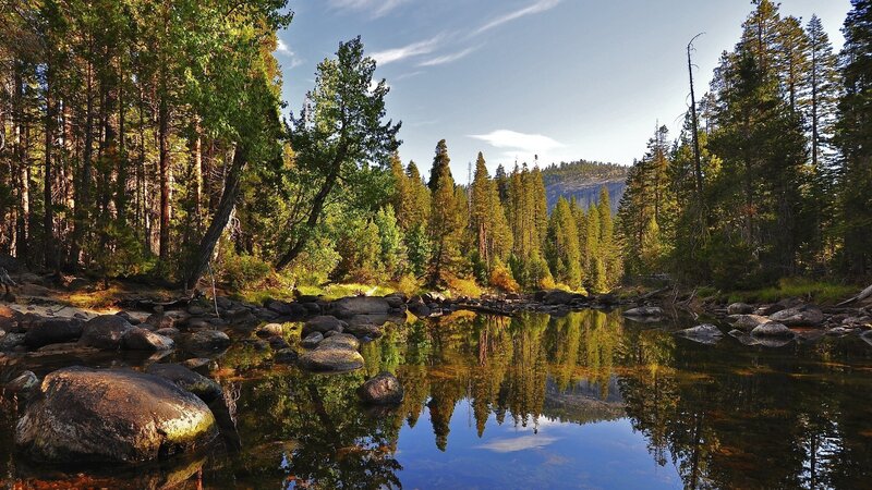 River in Forest — Green, Serene, Afternoon, Photograph, Trees, Rocks, Mountain, Blue, Brown
