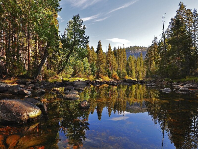 River in Forest — Green, Serene, Afternoon, Photograph, Trees, Rocks, Mountain, Blue