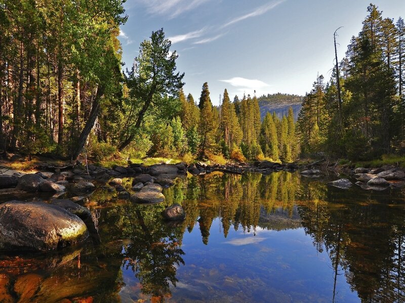 River in Forest — Green, Serene, Afternoon, Photograph, Trees, Rocks, Mountain