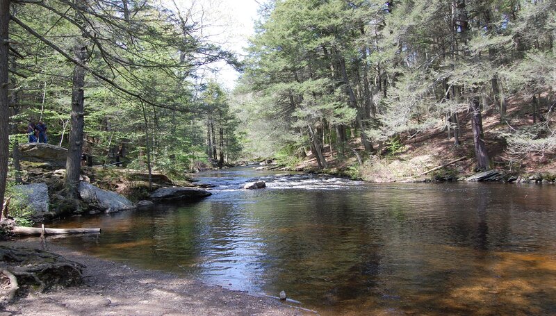 River in Forest — Green, Serene, Afternoon, Photograph, Trees, Rocks, People