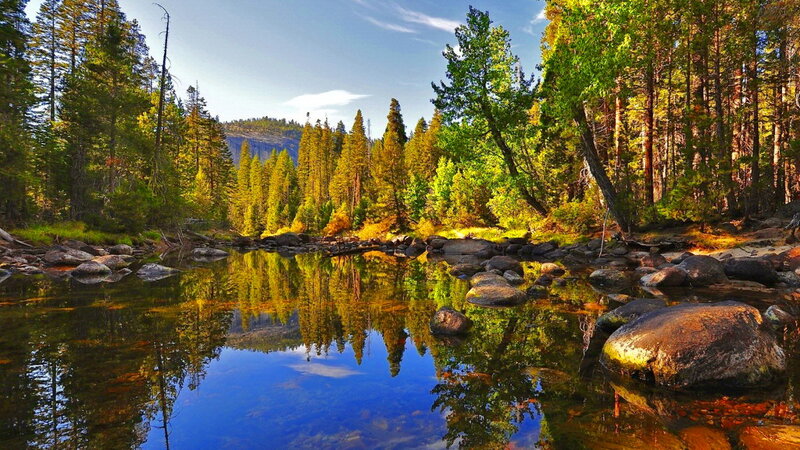 River in Forest — Green, Serene, Afternoon, Photograph, Trees, Rocks, Reflection