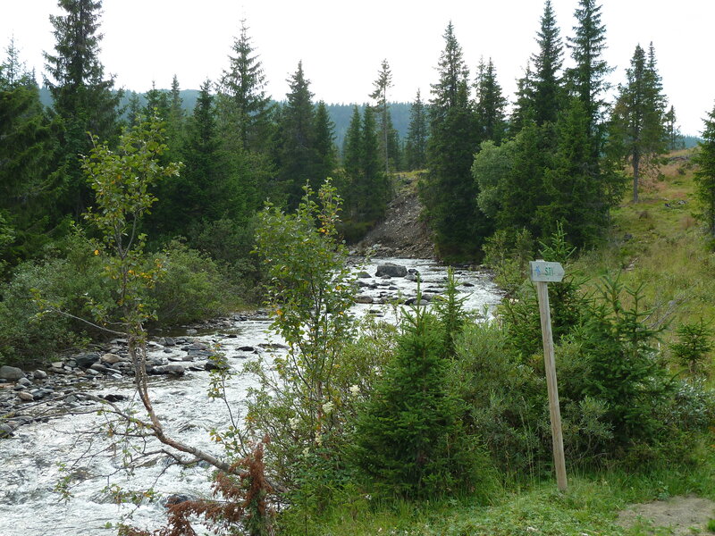 River in Forest — Green, Serene, Afternoon, Photograph, Trees, Rocks, Sign