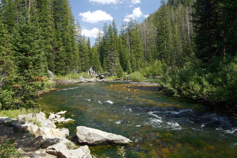 River in Forest — Green, Serene, Afternoon, Photograph, Trees, Rocks, Sky, Blue