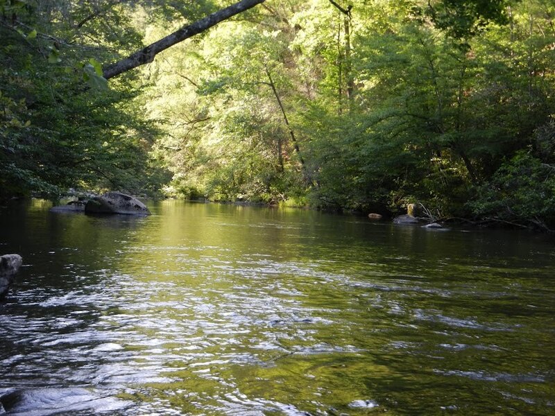 River in Forest — Green, Serene, Afternoon, Photograph, Trees, Rocks, Sunlight