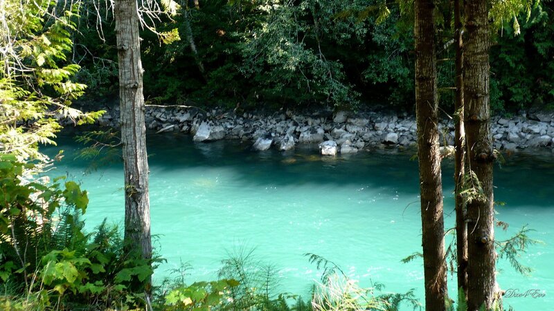 River in Forest — Green, Serene, Afternoon, Photograph, Trees, Rocks, Water, Blue